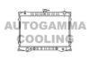 AUTOGAMMA 102184 Radiator, engine cooling